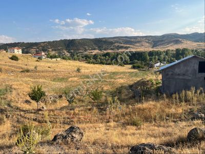Arsa-Tarla
