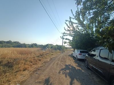 Arsa-Konut İmarlı