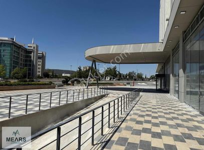 İşyeri-Plaza Katı