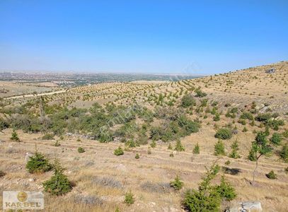 Arsa-Bağ & Bahçe