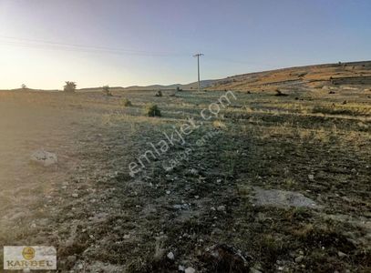 Arsa-Tarla