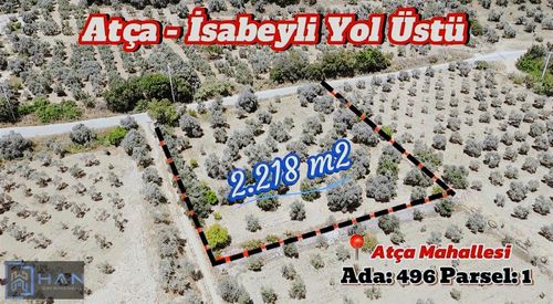 Arsa-Bağ & Bahçe