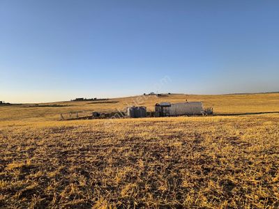 Arsa-Konut İmarlı