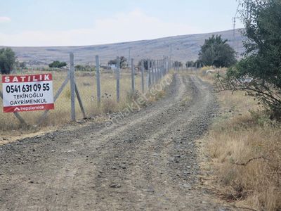 Arsa-Tarla