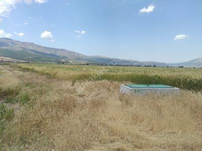 Arsa-Tarla