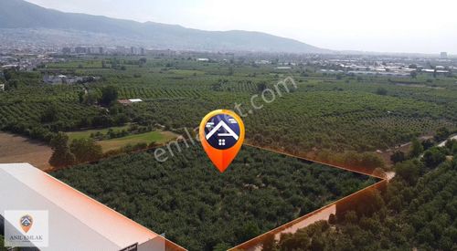Arsa-Bağ & Bahçe