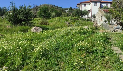 Arsa-Konut İmarlı