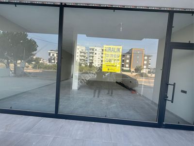 İşyeri-Dükkan & Mağaza