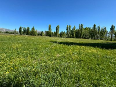 Arsa-Tarla
