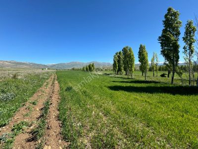 Arsa-Tarla