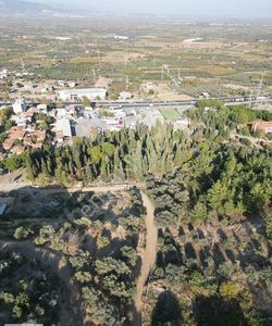 Arsa-Arazi