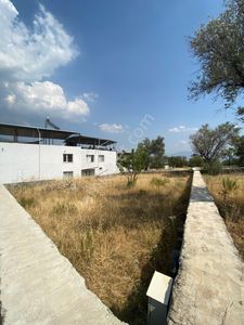 Arsa-Özel Kullanım