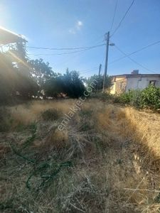 Konut-Müstakil Ev