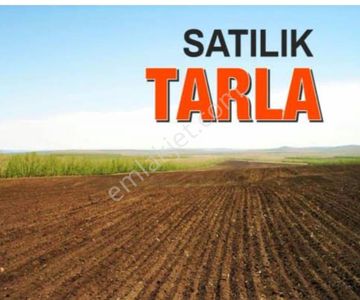 Arsa-Tarla