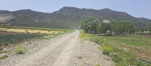 Arsa-Tarla