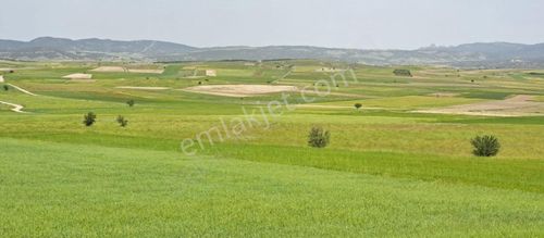 Arsa-Tarla