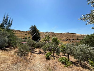 Arsa-Villa İmarlı