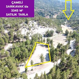 Arsa-Tarla