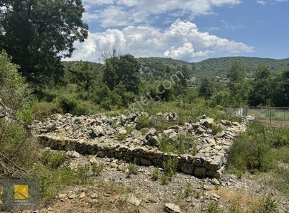 Arsa-Bağ & Bahçe