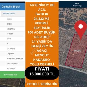 Arsa-Zeytinlik