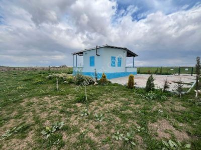 Arsa-Bağ & Bahçe