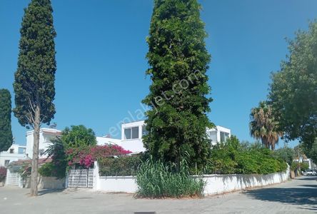 Konut-Müstakil Ev