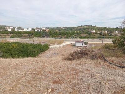 Arsa-Tarla