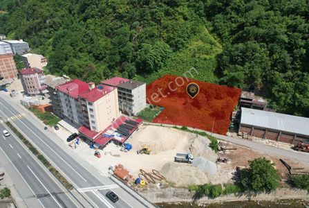 Arsa-Konut+Ticaret Alanı