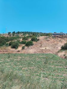 Arsa-Konut İmarlı