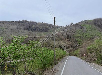 Arsa-Tarla