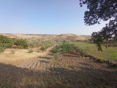 Arsa-Bağ & Bahçe