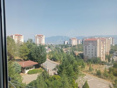 Konut-Daire