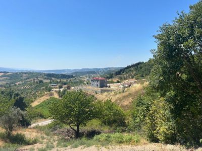 Arsa-Tarla