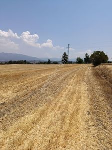 Arsa-Tarla