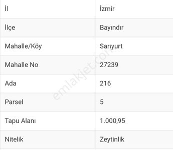 Arsa-Zeytinlik