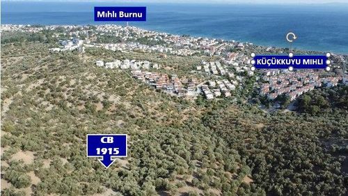 Arsa-Zeytinlik
