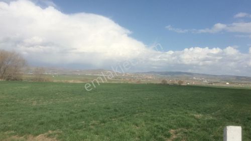 Arsa-Bağ & Bahçe