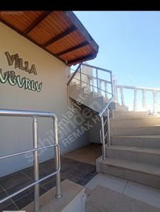 Arsa-Zeytinlik