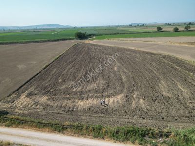 Arsa-Tarla