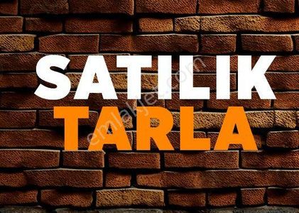 Arsa-Tarla