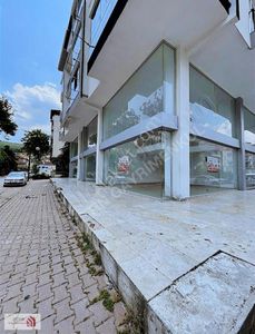 İşyeri-Dükkan & Mağaza