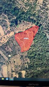 Arsa-Arazi