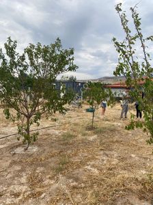 Arsa-Villa İmarlı
