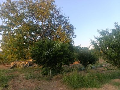 Arsa-Bağ & Bahçe