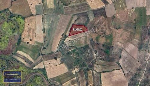 Arsa-Tarla