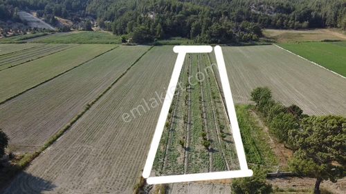Arsa-Tarla