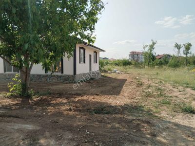 Arsa-Bağ & Bahçe