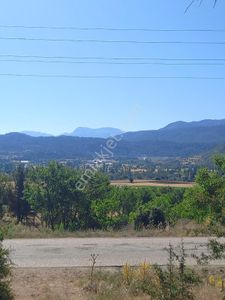 Arsa-Tarla