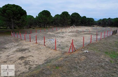 Arsa-Konut İmarlı