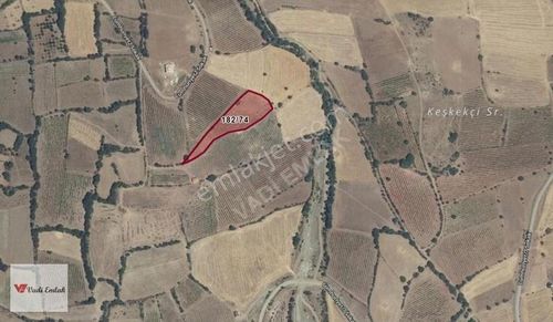 Arsa-Tarla